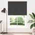 Estor Enrollable Opaco negro 150x210 cm Tela Ancho 146,6