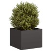 Jardinera acero negro 40x40x30 cm