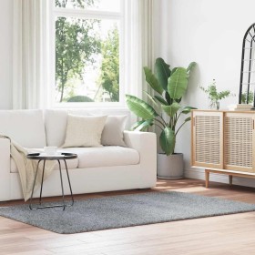 Alfombra de pelo largo NAVARRA gris plateado 130x200