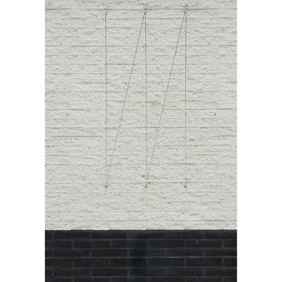 Nature Juego de enrejado de alambre para plantas trepadoras 2