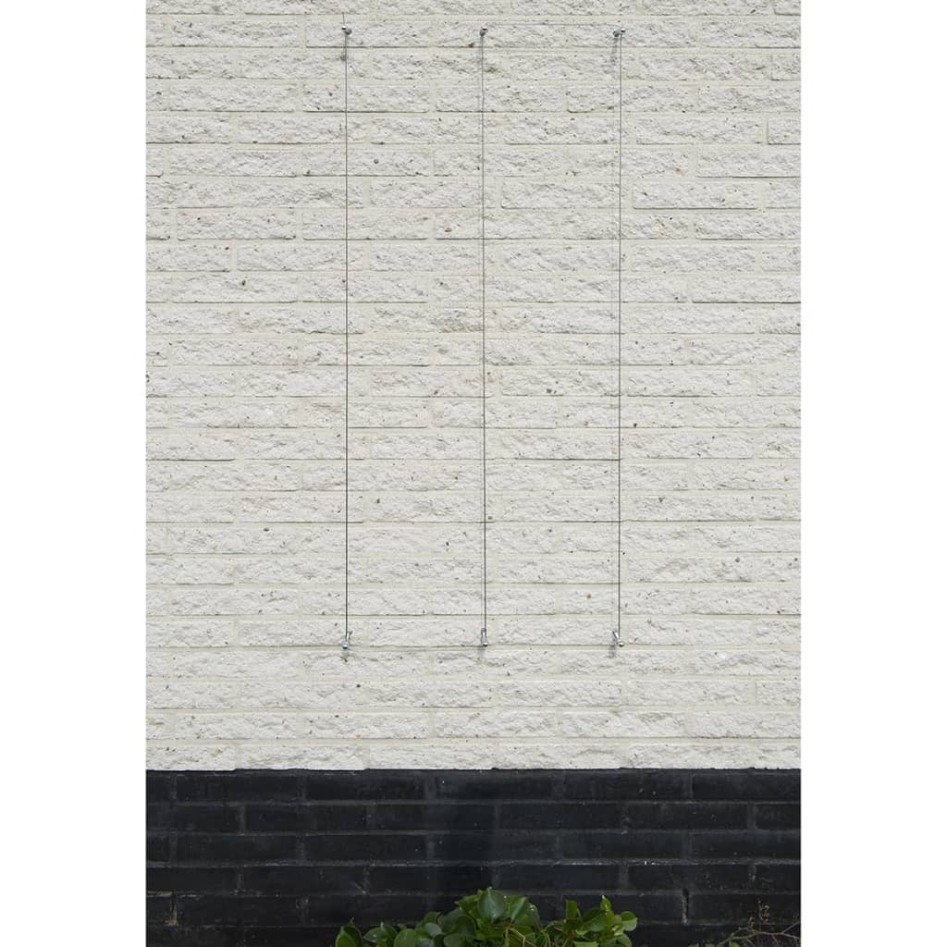 Nature Juego de enrejado de alambre para plantas trepadoras 2