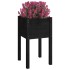 Jardineras 2 unidades madera maciza de pino negro 40x40x70