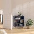 Aparador de madera contrachapada gris brillante 57x35x70