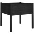 Jardinera de madera maciza de pino negro 70x70x70