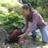 Ubbink Turba para estanque de jardín Aquavital 10