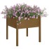 Jardinera de madera maciza de pino marrón miel 70x70x70