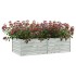 Arriate de acero galvanizado plateado 160x80x45