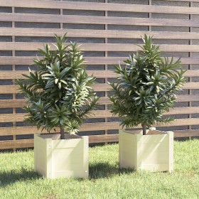 Jardineras 2 uds madera maciza de pino blanco 31x31x31