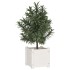 Jardineras 2 uds madera maciza de pino blanco 31x31x31