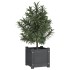 Jardineras 2 uds madera maciza de pino gris 31x31x31