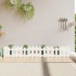 Arriate elevado jardín con valla madera pino blanco