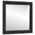 Espejo de baño madera maciza de mango y vidrio 55x1x60