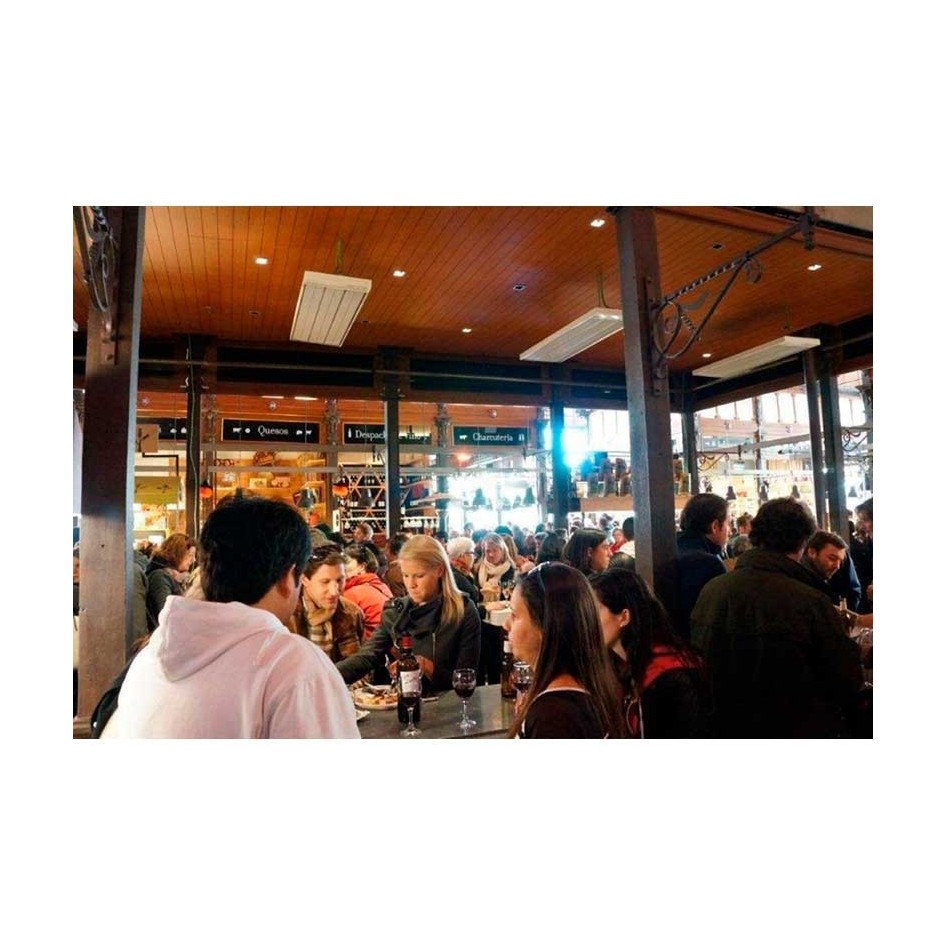 Calefactor Eléctrico Radiante Energostrip