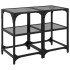 Mesas de centro 2 uds acero y tapa de vidrio negro 30x30x45