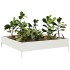Arriate de acero blanco 100x100x26