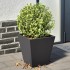Jardineras 2 unidades acero negro 30x30x30