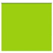 Estor Enrollable Opaco hojas verde 150x175cm Tela Ancho 146,6cm