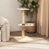 Rascador para gatos con poste de sisal crema 74