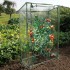 Nature Invernadero para tomates 100x50x150