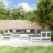 Juego de muebles de jardín 11 piezas madera maciza pino blanco