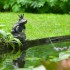 Ubbink Fuente de jardín con chorro y en forma de príncipe