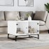 Mesa de centro con puertas de vidrio blanca 68,5x50x50