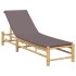 Tumbona con cojines 55x199x30 cm