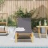 Tumbona con cojines 55x199x30 cm