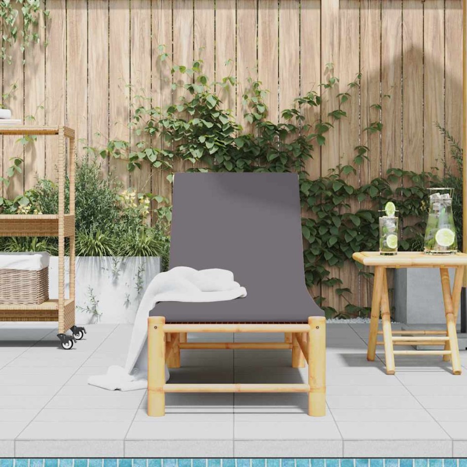 Tumbona con cojines 55x199x30 cm