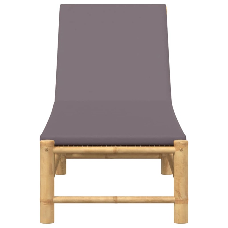 Tumbona con cojines 55x199x30 cm