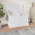 Baúl almacenaje madera contrachapada blanco brillo 50x30x28