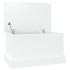 Baúl almacenaje madera contrachapada blanco brillo 50x30x28
