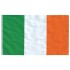 Mástil y bandera de Irlanda aluminio 5,55