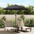 Sombrilla de jardín con palo de aluminio negro 270