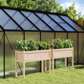 Jardineras de exterior con patas 2 uds madera maciza de