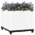 Arriate polipropileno 40x40x38