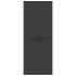 Armario de almacenaje exterior PP negro 65x37x165