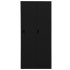 Armario de acero negro 80x50x180