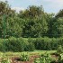 Cerca de alambre con brida verde 1,4x25