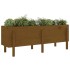 Arriate elevado de jardín madera pino marrón miel 160x50x57