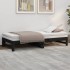 Sofá cama extraíble madera maciza de pino negro 2x(75x190)