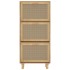 Zapatero madera contrachapada marrón ratán natural 52x25x115