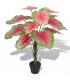 Planta de caladium artificial con macetero 70 cms verde y roja