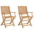 Sillas de jardín plegables 2 uds madera acacia 58x54,5x90