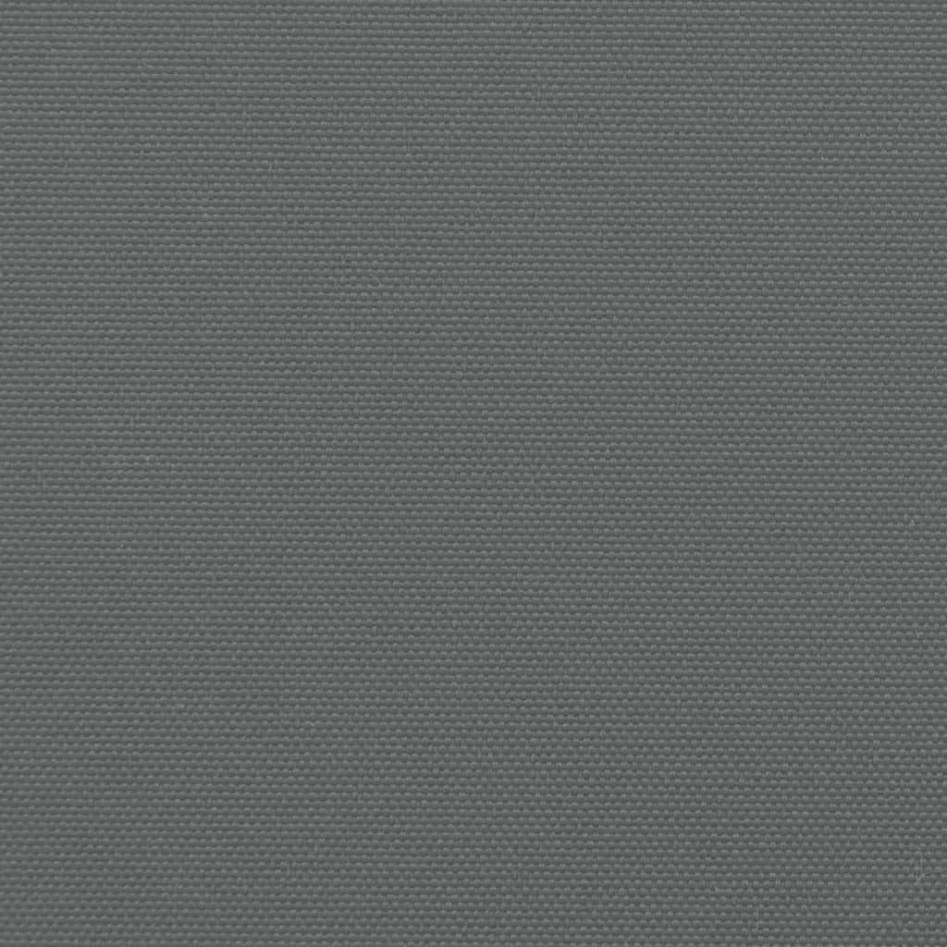 Toldo lateral retráctil gris antracita 220x600