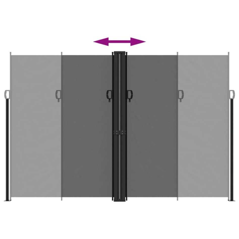 Toldo lateral retráctil antracita 220x1000