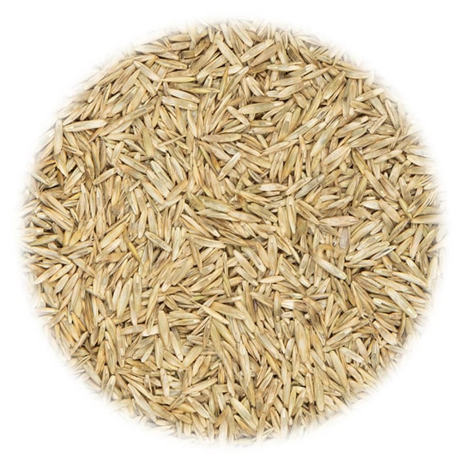 Semillas de césped para deportes y juegos 30