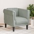 Sillón de terciopelo gris