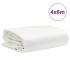 Lona blanca 4x6 m 650