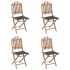 Set de comedor exterior plegable 5 piezas con cojines